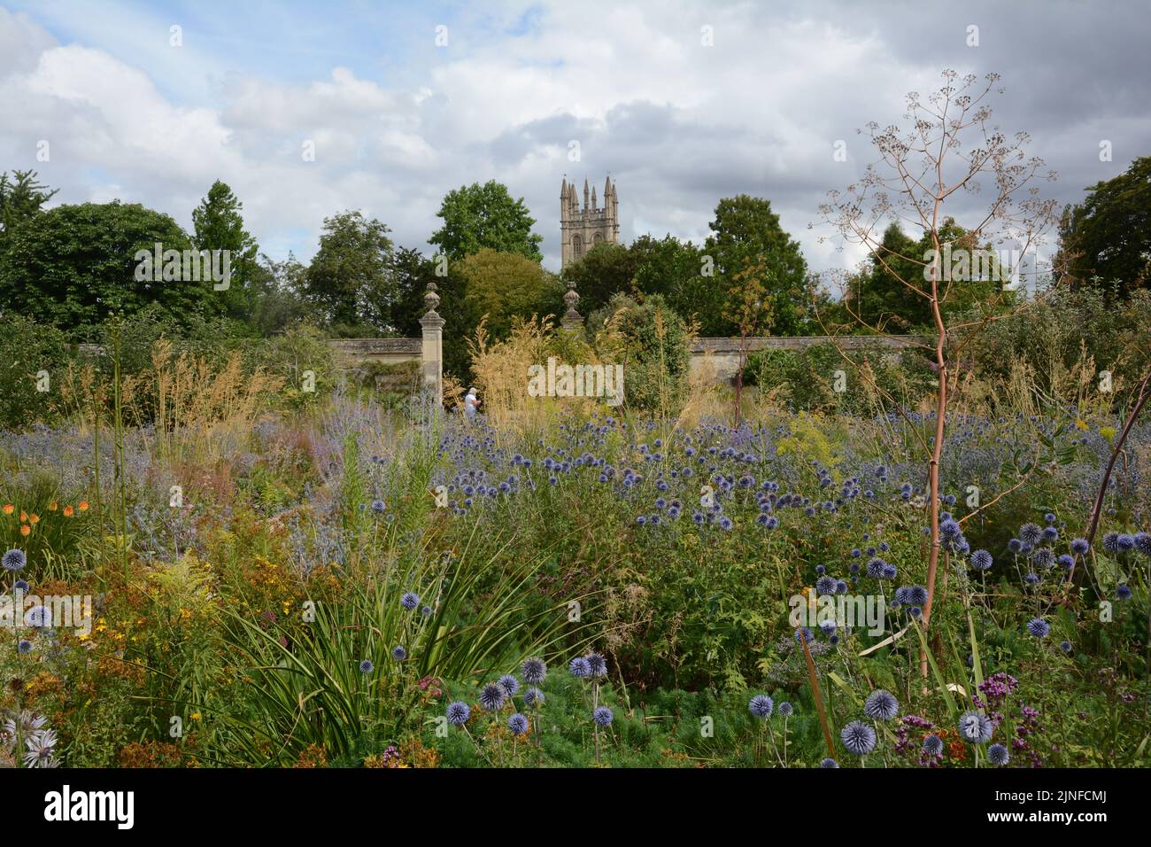 Jardin Botanique d'Oxford Banque D'Images