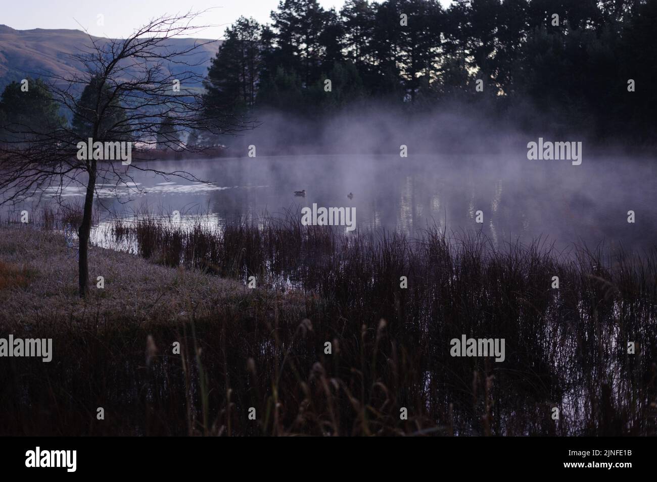 Un étang dans la vallée du Kamberg, dans les montagnes du Drakensberg en Afrique du Sud, se moque pendant un lever de soleil d'hiver Banque D'Images