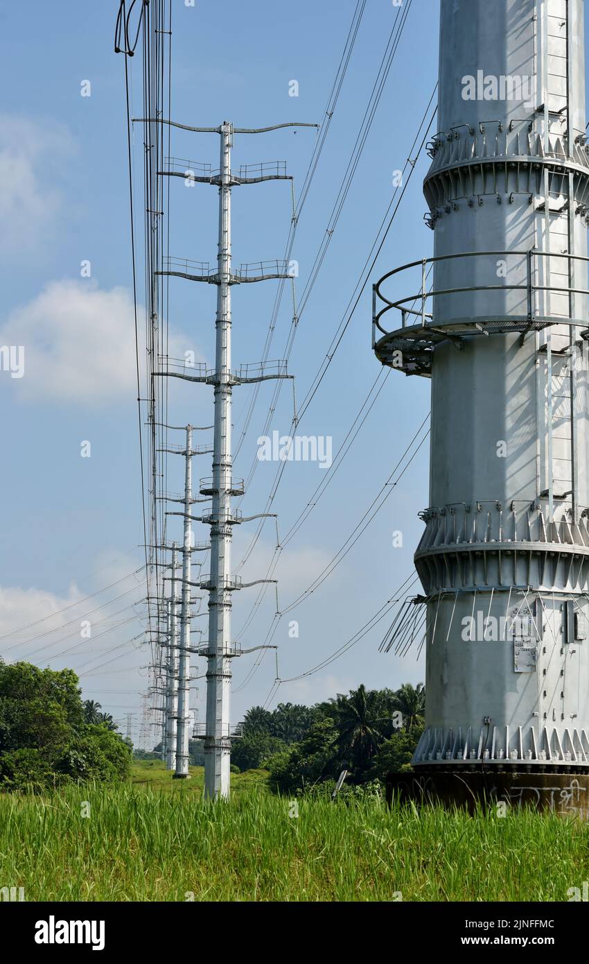 Image d'une transmission haute tension monopolaire sur une colline d'herbe verte. Concept d'infrastructure, de sécurité et d'architecture Banque D'Images
