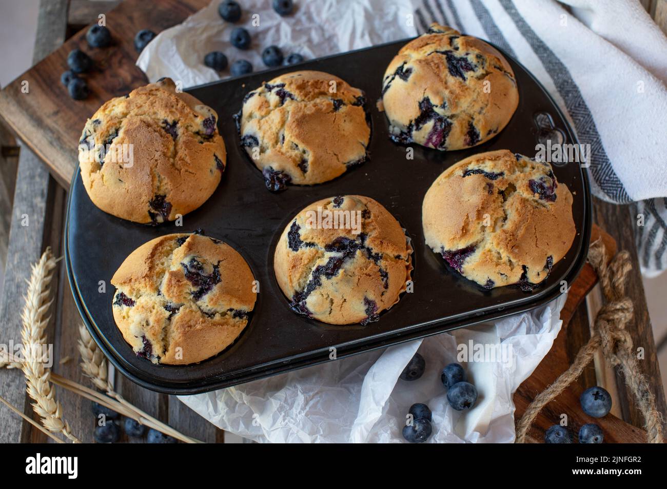 Muffins aux myrtilles dans un moule à muffins. Frais et fait maison Banque D'Images