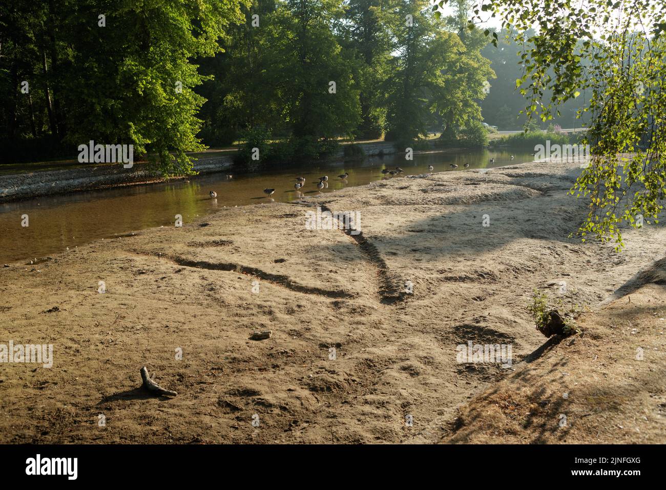 Lit de rivière sablonneux exposé de la rivière Little Ouse à Thetford, causé par la vague de chaleur prolongée et la sécheresse en juillet et août 2022. Banque D'Images