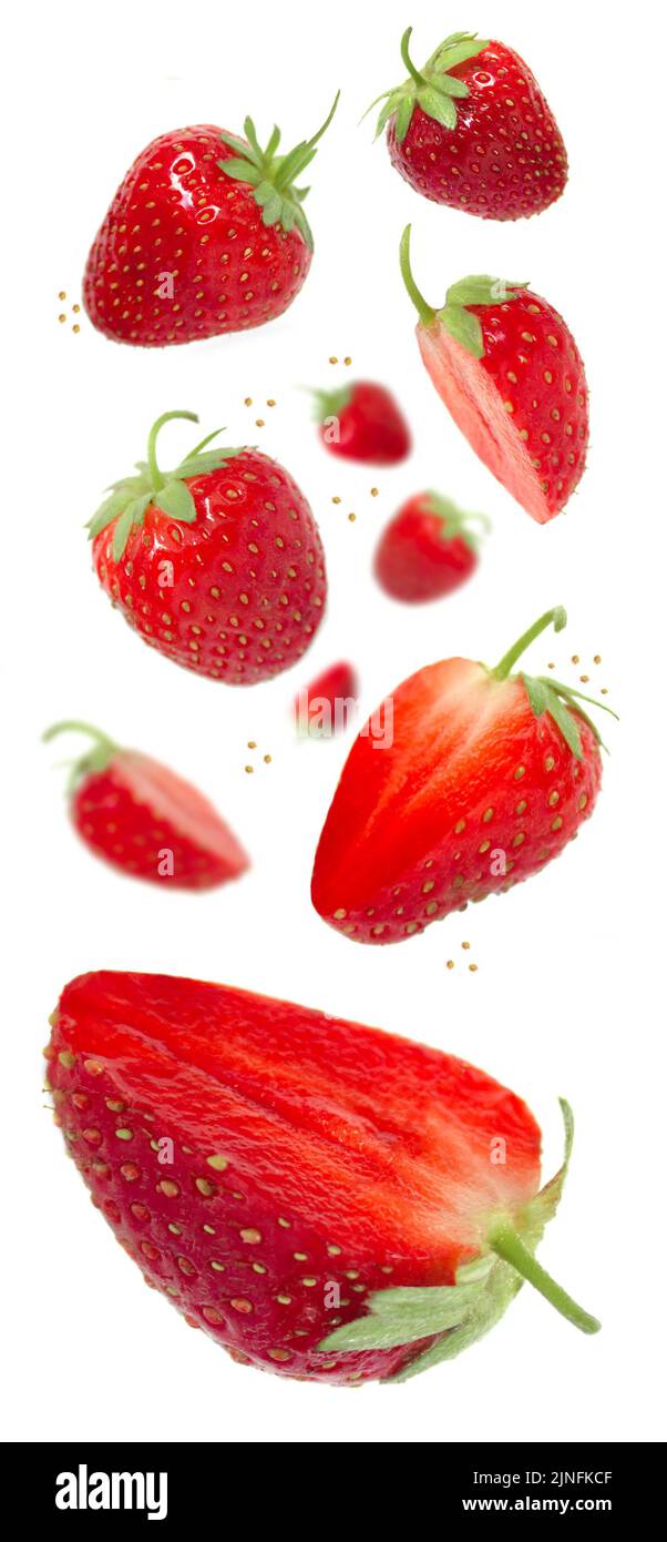 Lévitation de fraise sur fond blanc isolé. Morceaux entiers de fraises et couper Banque D'Images