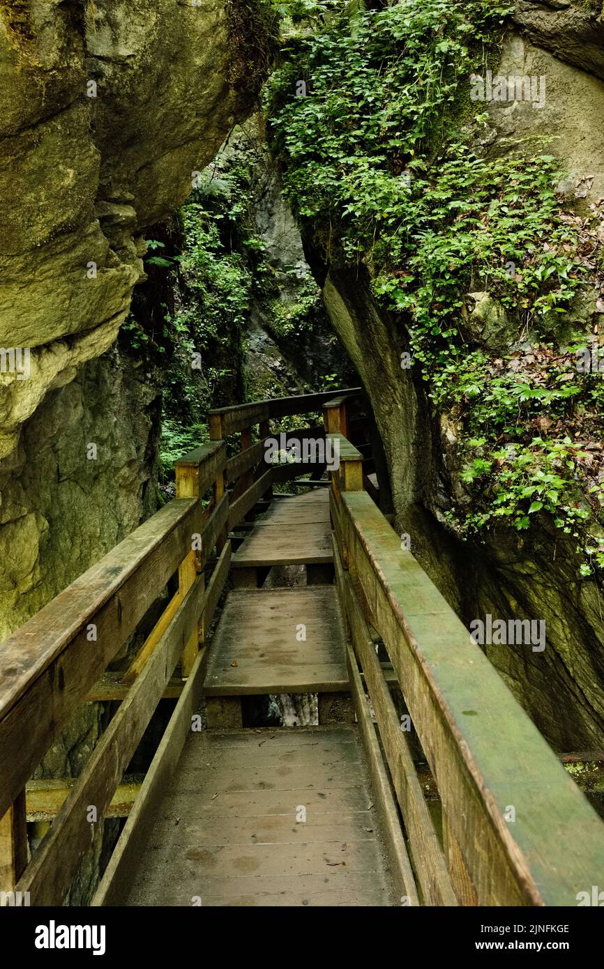 Une passerelle en bois de mousse au-dessus de la gorge de Seisenbergklamm à Weissbach, près de Lofer, en Autriche Banque D'Images