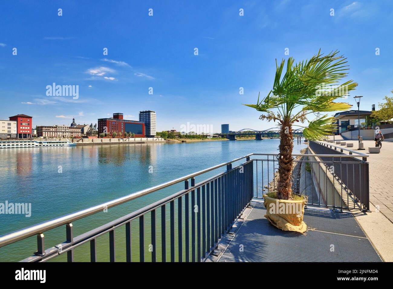 Ludwigshafen, Allemagne - août 2022 : vue sur le Rhin depuis la promenade avec palmier Banque D'Images