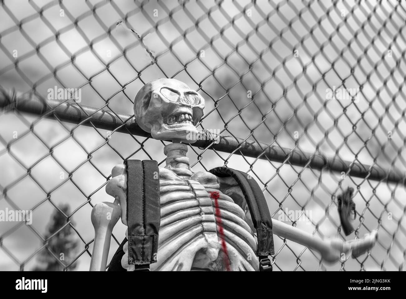 Photo d'un squelette portant un sac à dos et une clôture d'école en noir et blanc avec une blessure par balle dans la poitrine Banque D'Images