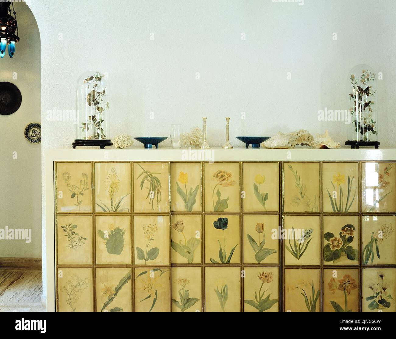 Fleurs à la maison, cabinet d'herbier. Banque D'Images