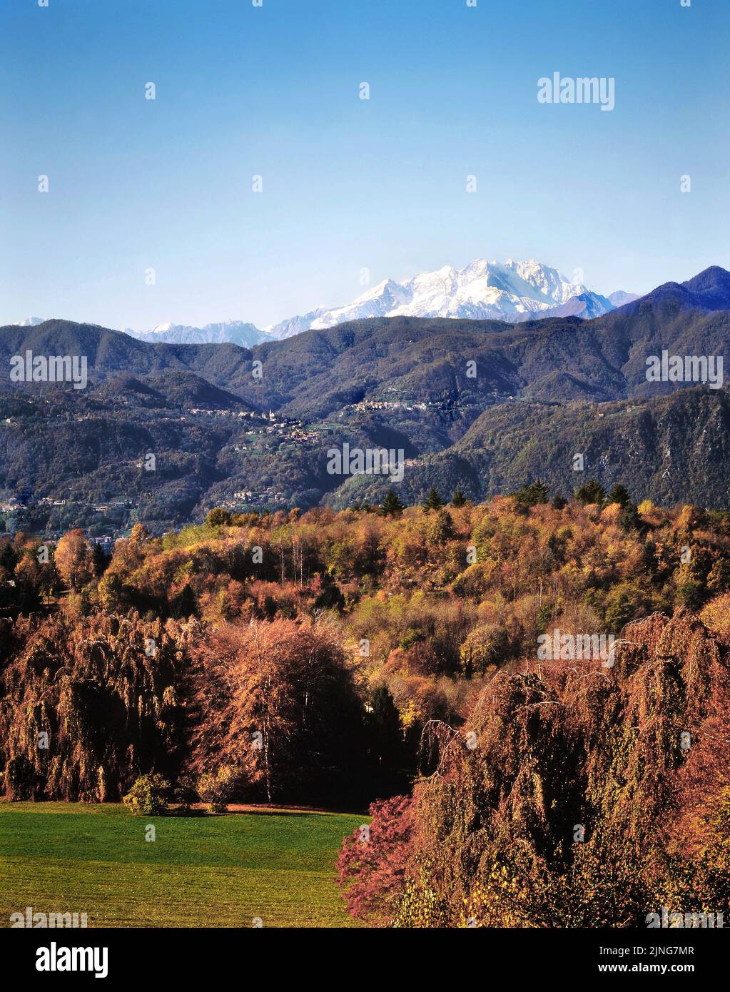 Jardin, bois de hêtre et massif de la montagne Rosa. Banque D'Images