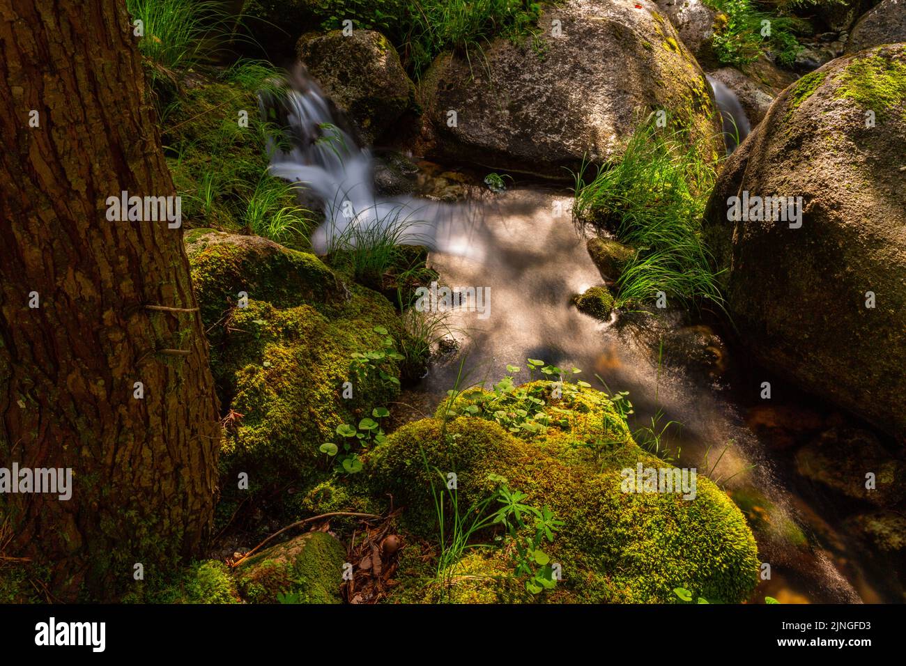 Cascade de la rivière dans le parc national portugais de Geres, dans le nord du pays Banque D'Images