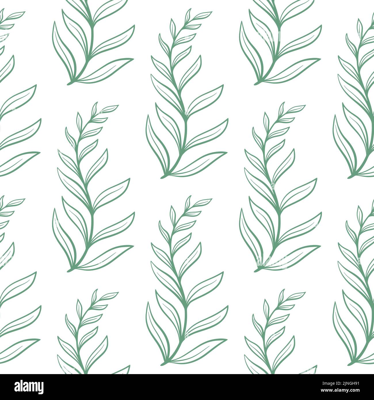 Branches de fines herbes gravées à la main sans couture motif. Esquisse d'arrière-plan de branches naturelles à feuilles caduques. Imprimé botanique. Modèle d'emballage et d'impression Illustration de Vecteur