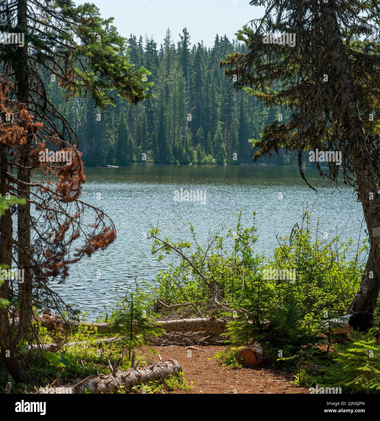 Lac Deer, près des deux lacs Cultus, dans la forêt nationale Deschutes, Oregon Banque D'Images