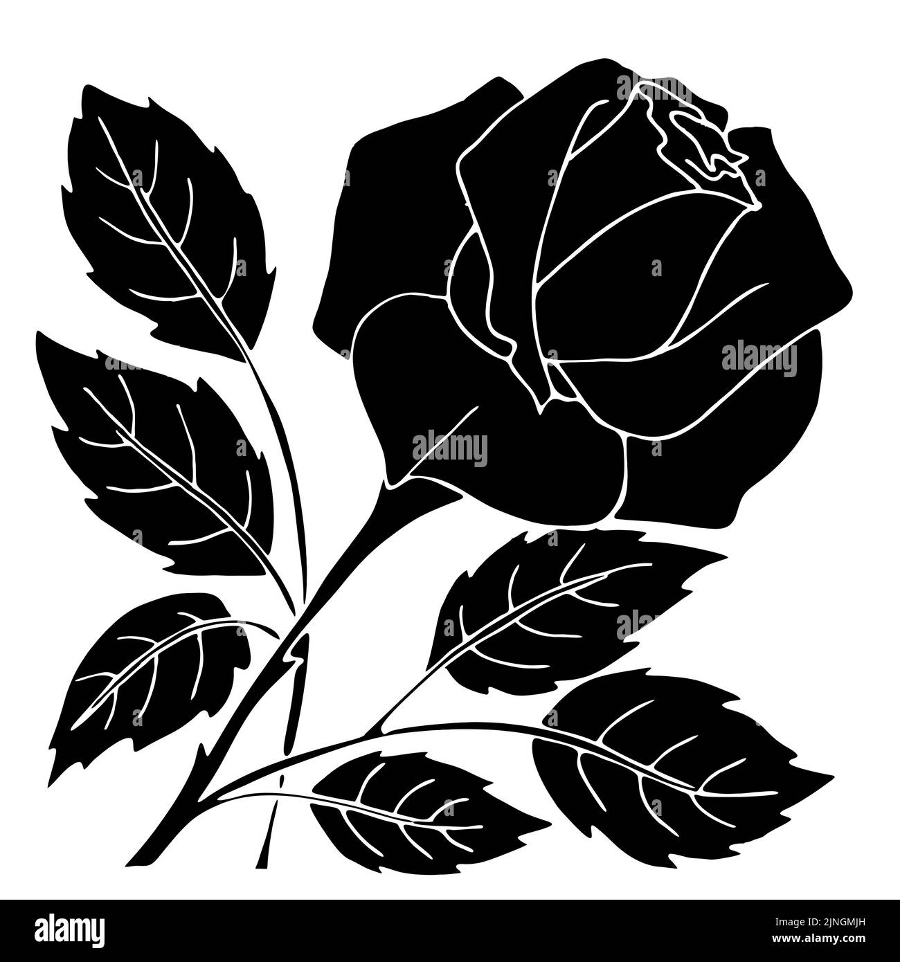 silhouette noire d'une rose gros plan sur fond blanc, silhouette d'une fleur, dessin graphique, design Banque D'Images