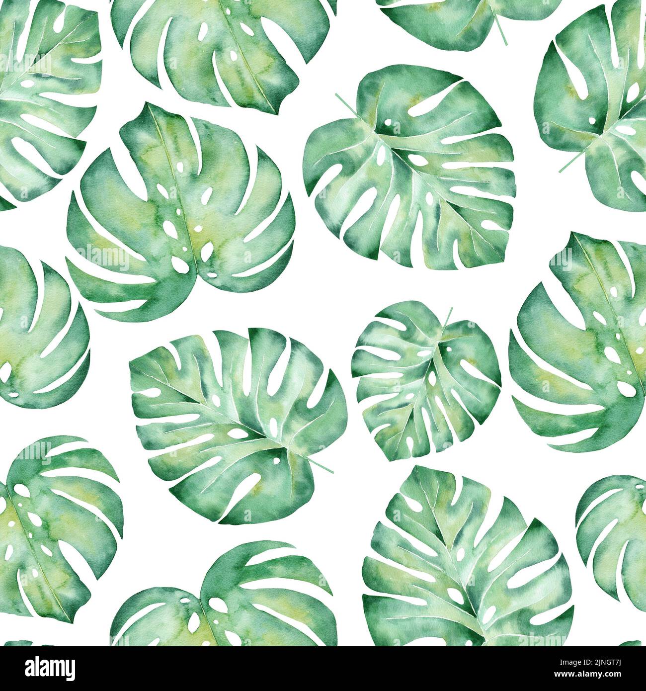 Motif aquarelle sans couture avec feuilles tropicales : palmiers, monstère. Magnifique imprimé sur toute la surface avec plantes exotiques dessinées à la main. Banque D'Images