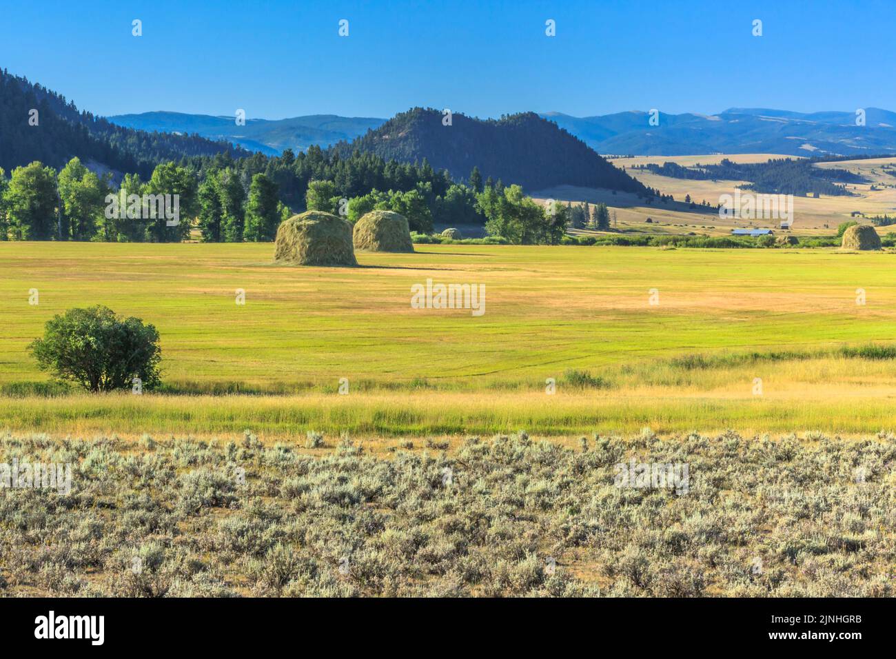 haystacks dans la vallée de l'avon près d'avon, montana Banque D'Images