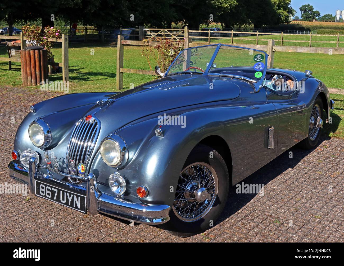 Jaguar XK140 argent, voiture classique, ORD. 867UYN Banque D'Images