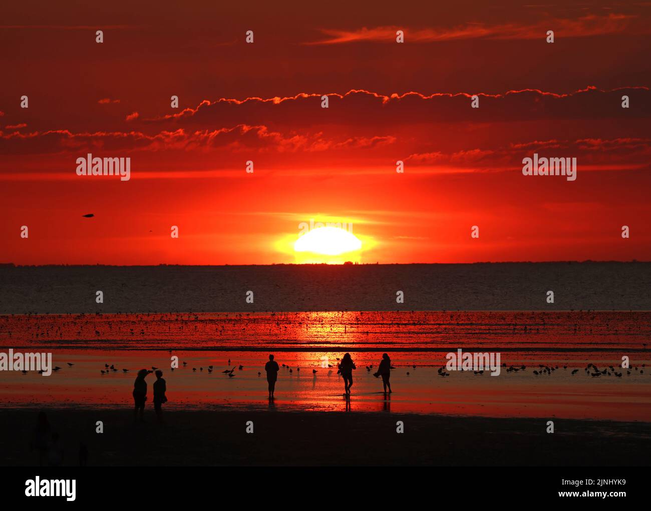 Les gens sont silhouettés lorsqu'ils regardent le soleil couchant à Heacham, Norfolk, alors qu'une autre semaine chaude commence, sans signe de pluie importante prévue, et le souci d'une interdiction d'hosepipe en perspective. L'Agence britannique de sécurité sanitaire a également publié une alerte sanitaire de niveau 3 pour le sud et le centre de l'Angleterre, qui entre en vigueur à partir de midi sur 9 août, jusqu'à samedi 13 août. Banque D'Images