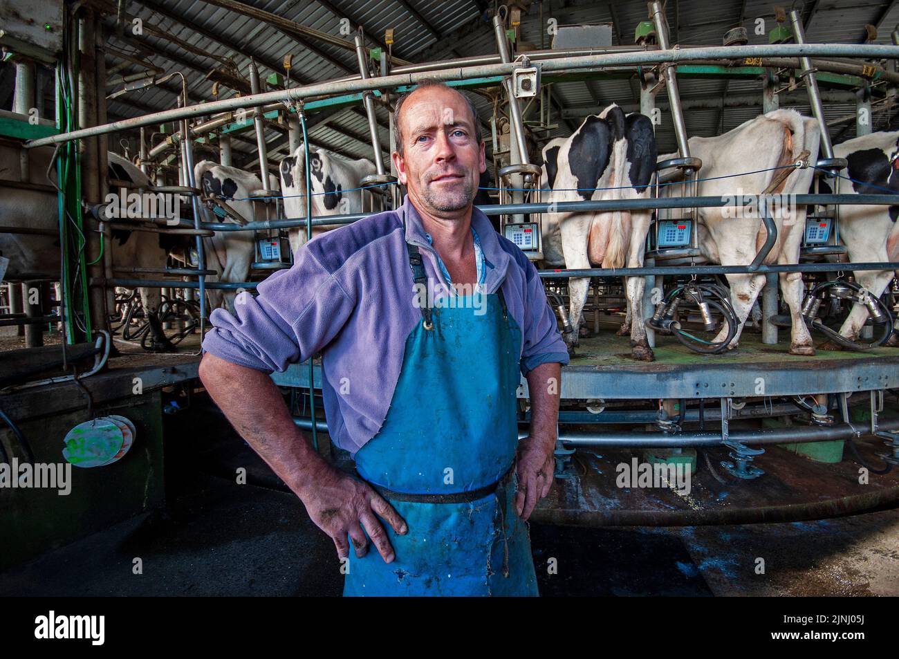 Producteurs laitiers, Metricup, région de Margaret River en Australie occidentale Banque D'Images