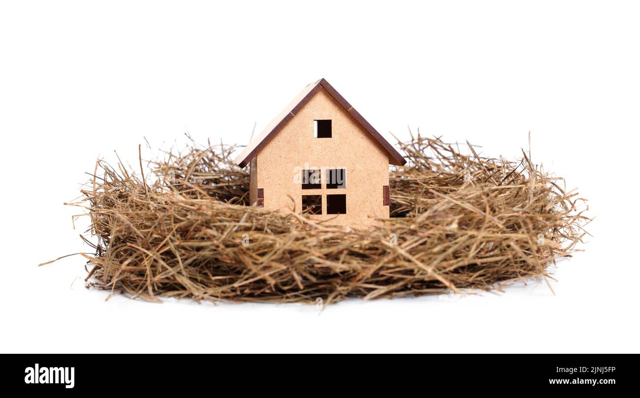 Modèle miniature de maison à assemblage automatique dans un nid d'oiseau isolé sur blanc. Assurance habitation et concept de protection. Banque D'Images