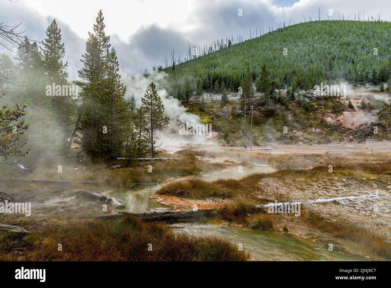 Zone des pots de peinture d'artiste dans le parc national de Yellowstone Banque D'Images