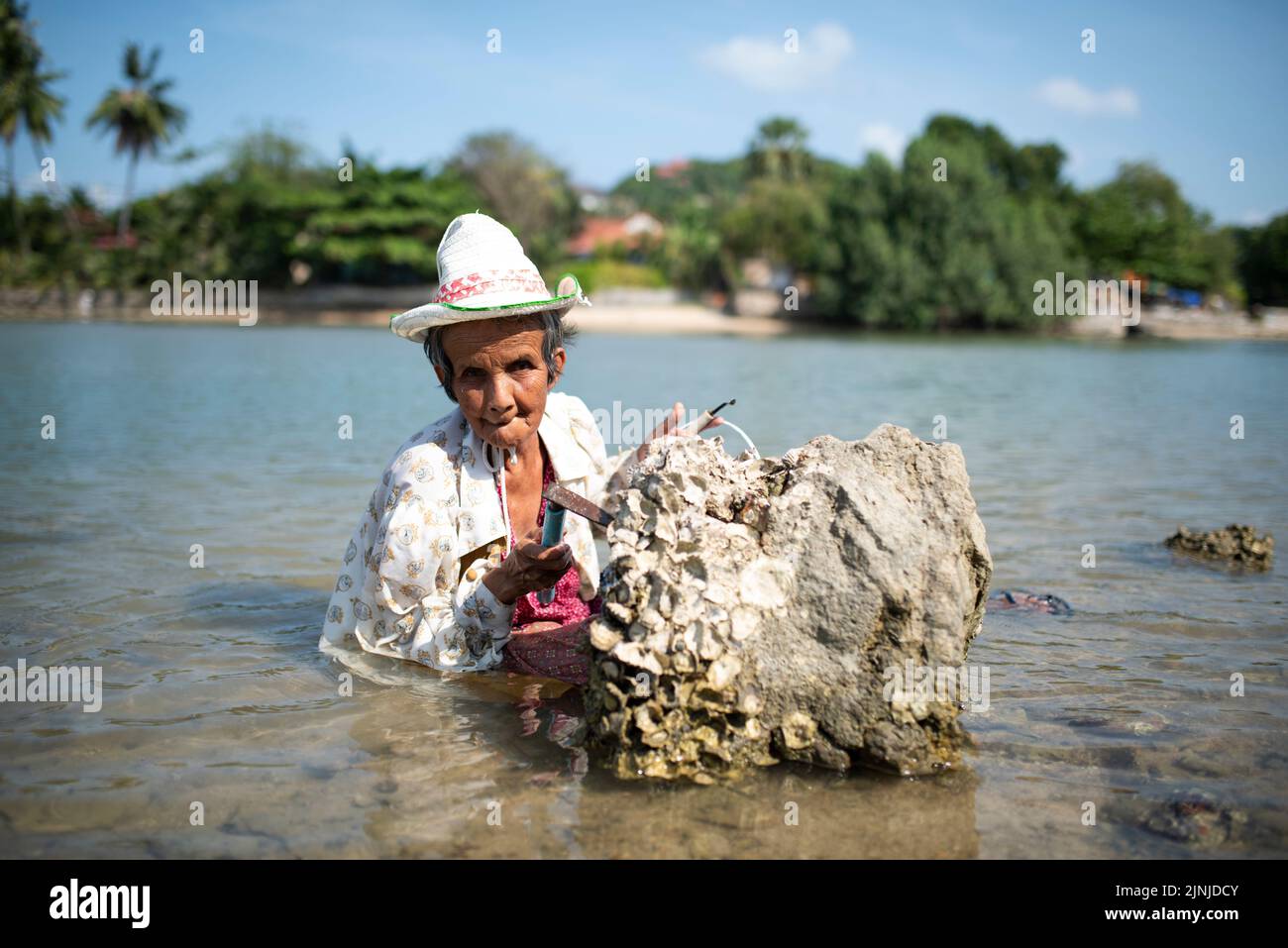 Portrait d'une femme autochtone sur l'île de Koh Samui. Une vieille femme travailleuse qui recueille des mollusques et crustacés. Banque D'Images