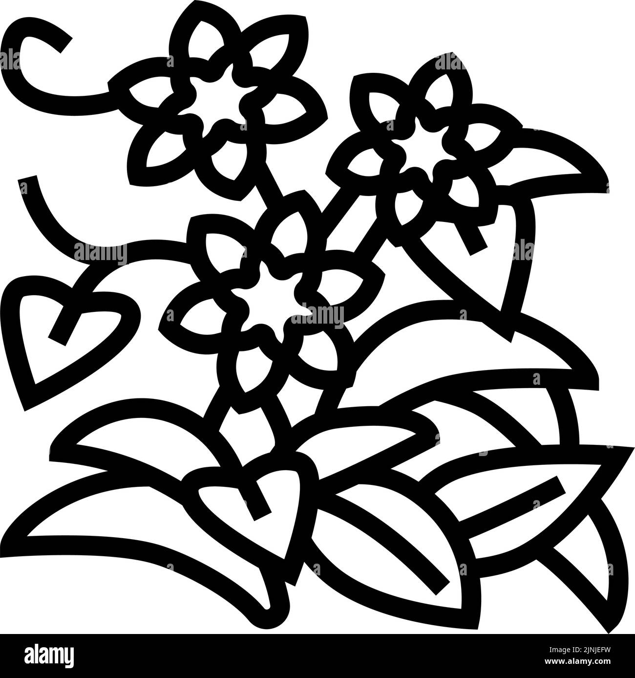 illustration vectorielle de l'icône de la ligne de croissance clematis Illustration de Vecteur