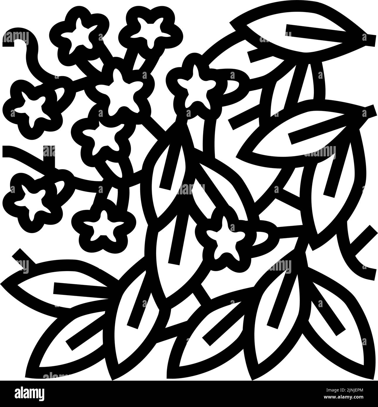 illustration vectorielle de l'icône de ligne de bigonia cabreolata Illustration de Vecteur