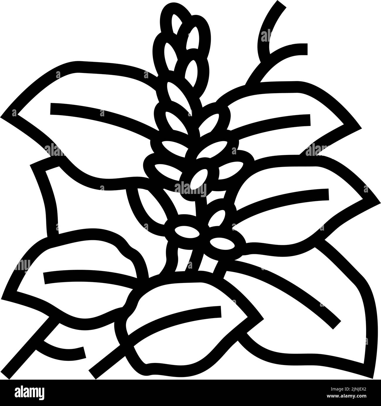 illustration vectorielle de l'icône de ligne de plante kudzu Illustration de Vecteur