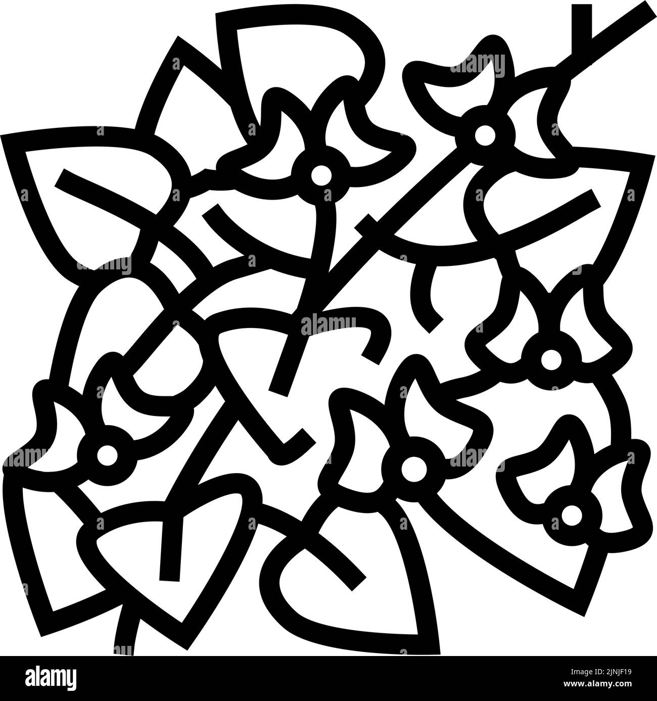 illustration vectorielle de l'icône de la ligne de haricot jacinthe Illustration de Vecteur