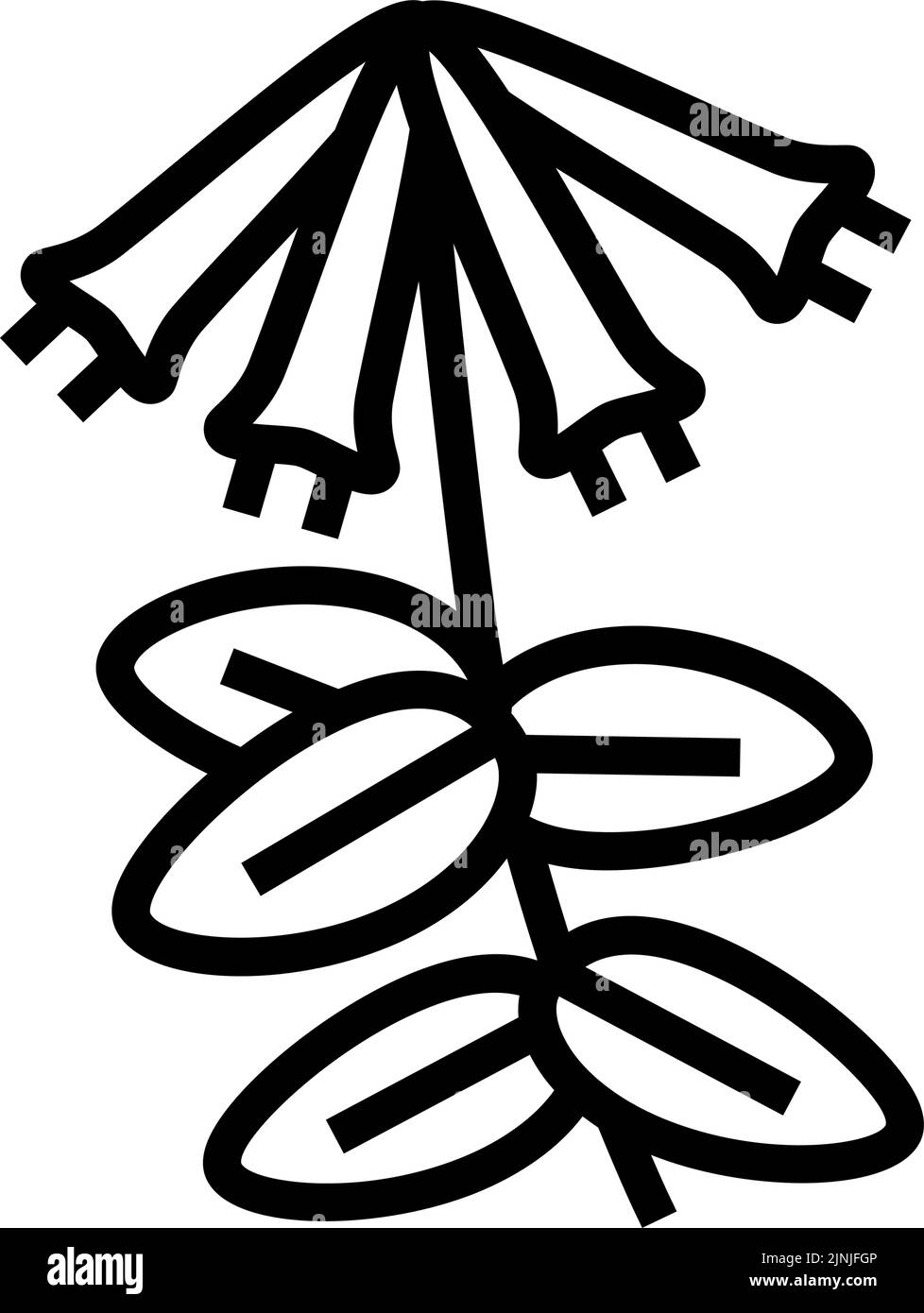 illustration vectorielle de l'icône de la ligne de liana de honeysuckle Illustration de Vecteur