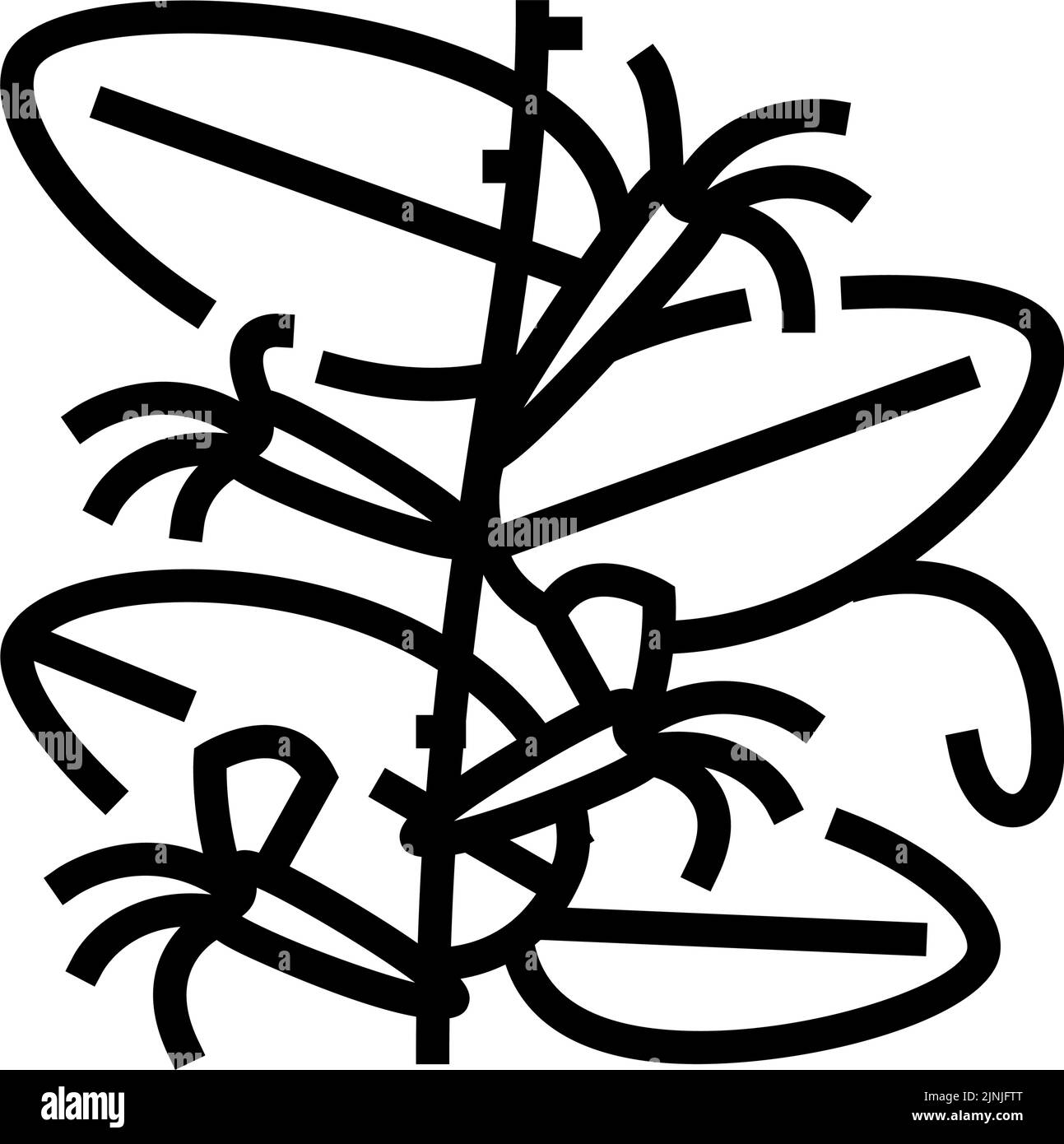 illustration vectorielle de l'icône de la ligne de chèvrefeuille japonaise Illustration de Vecteur