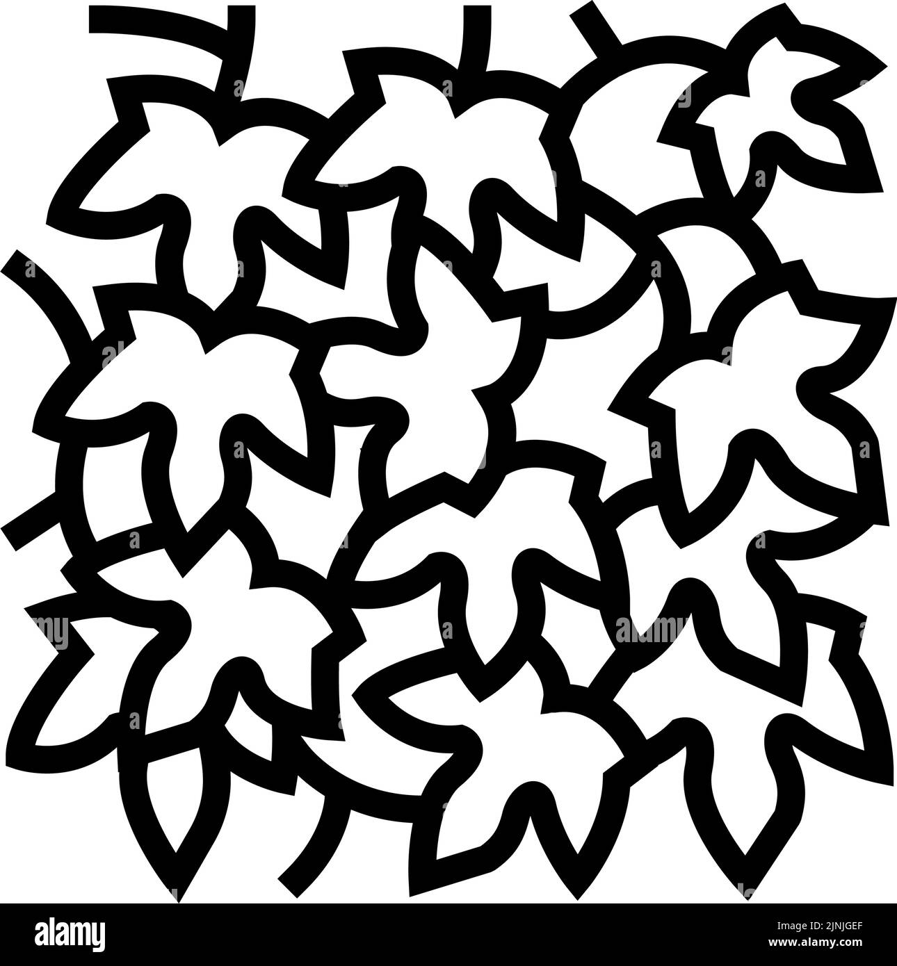 illustration vectorielle de l'icône hedera helix line Illustration de Vecteur