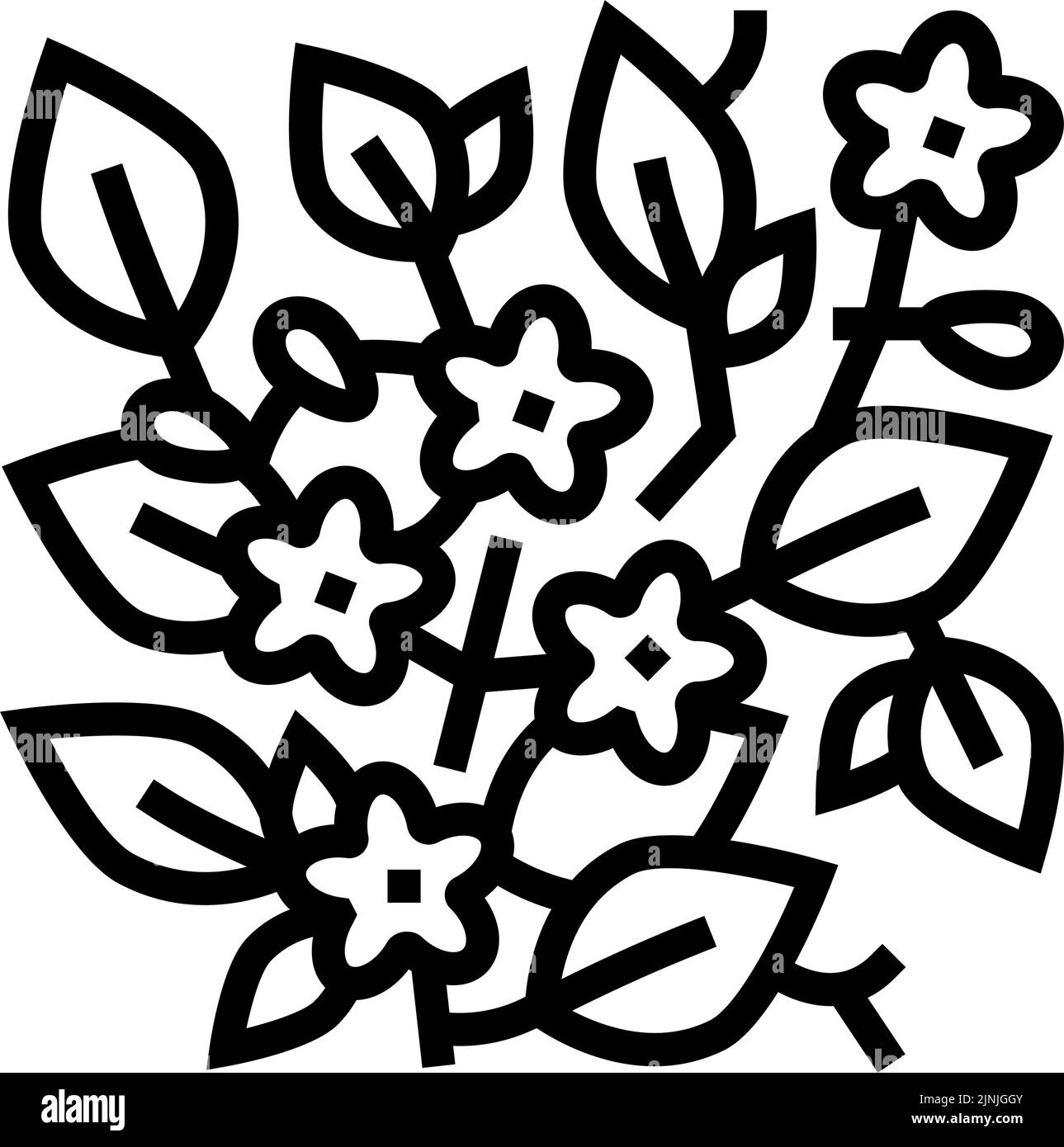 illustration vectorielle de l'icône de ligne caroline jessamine Illustration de Vecteur