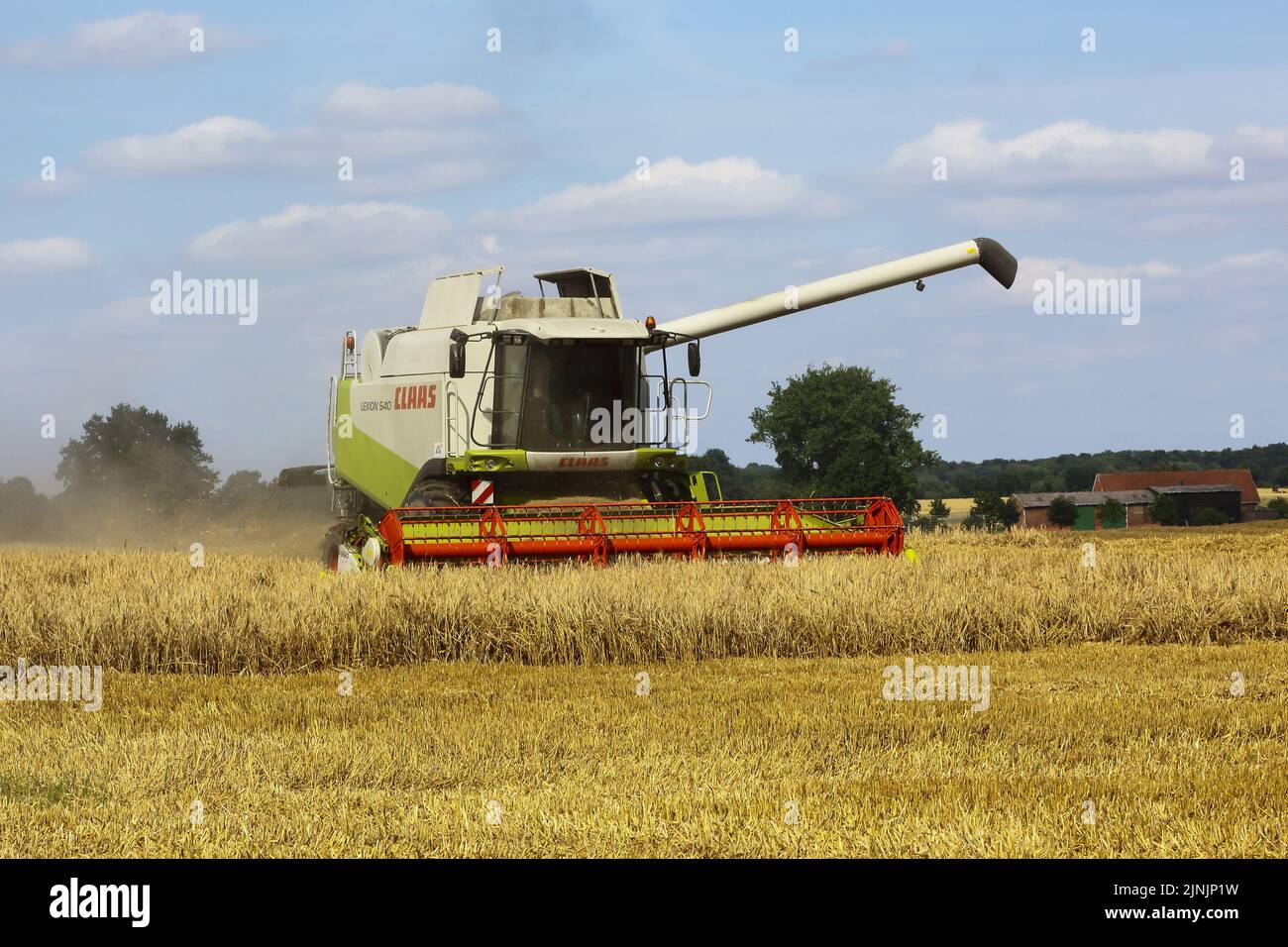 Récolte de grains mûrs avec une moissonneuse-batteuse, Allemagne Banque D'Images
