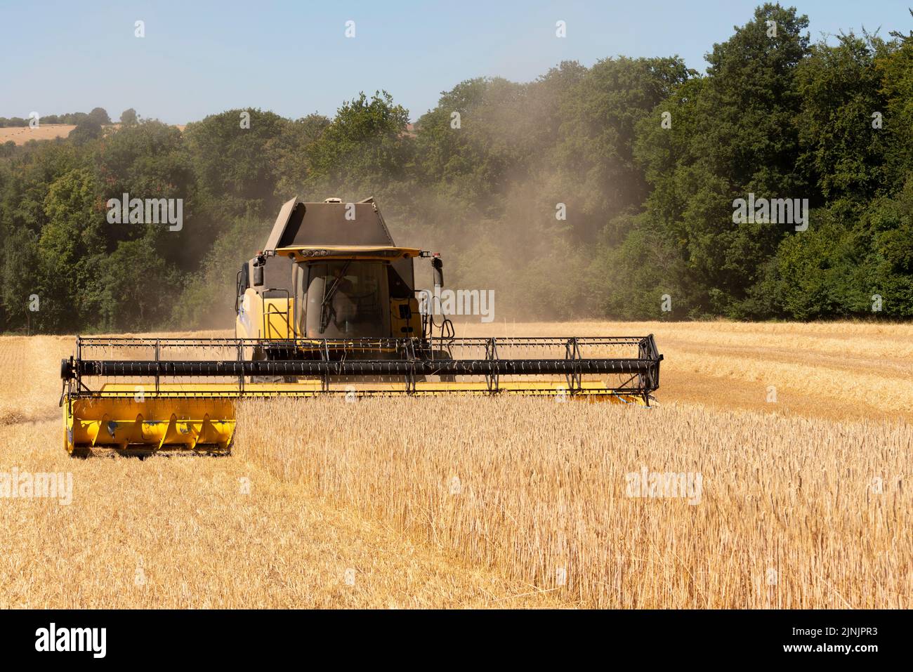 KINETON, Gloucestershire, Angleterre, Royaume-Uni. 2022. Moissonneuse-batteuse récoltant du seigle dans une ferme des Cotwolds au milieu de l'été 2022. Banque D'Images