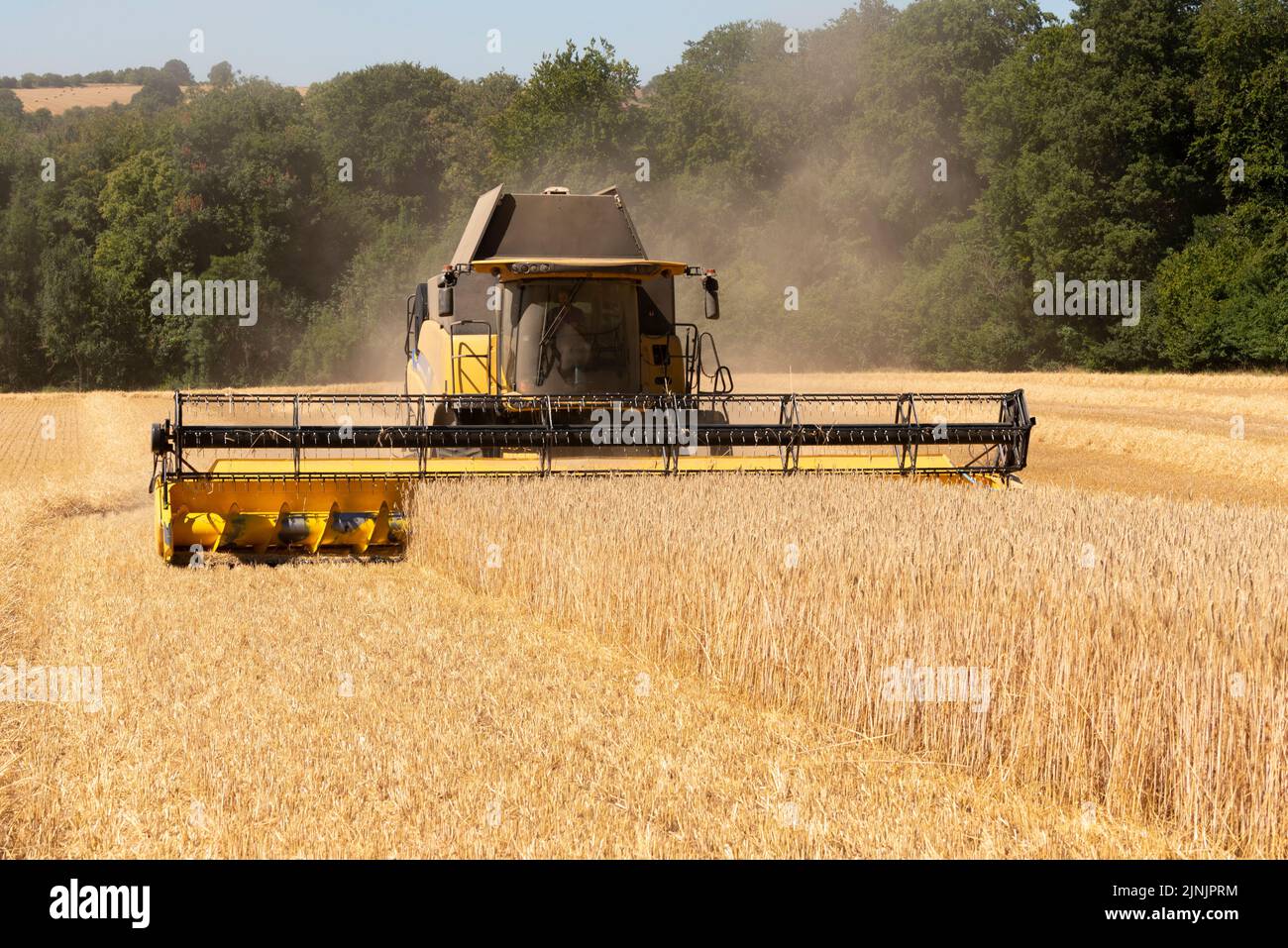 KINETON, Gloucestershire, Angleterre, Royaume-Uni. 2022. Moissonneuse-batteuse récoltant du seigle dans une ferme des Cotwolds au milieu de l'été 2022. Banque D'Images
