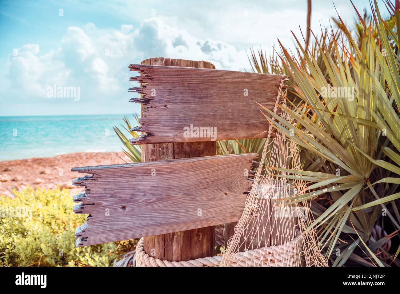 Un panneau en bois à la plage avec filet de pêche et palmiers en été avec ciel bleu et espace de copie à bord Banque D'Images