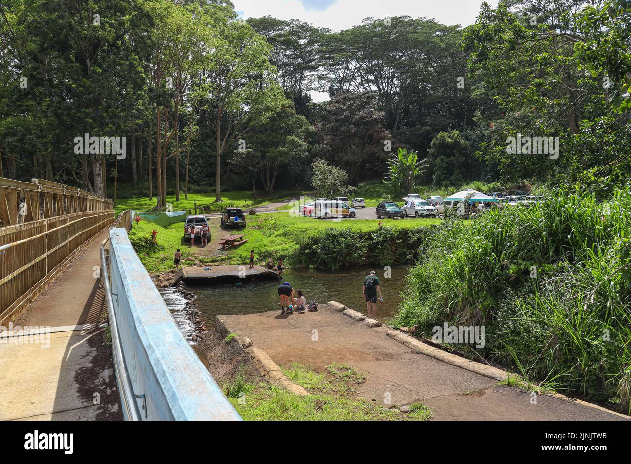 Les visiteurs s'assoient au bord du trou de baignade à l'intérieur de l'arboretum Keahua, sur l'île de Kauai, à Hawaï. Banque D'Images