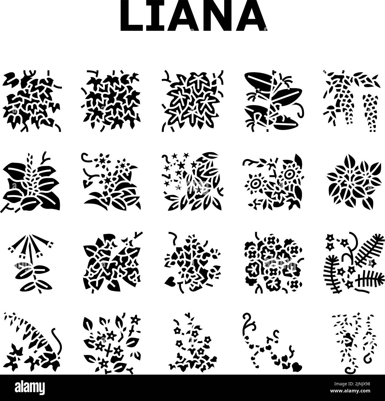 Vigne Liana plantes exotiques icônes Set Vector Illustration de Vecteur