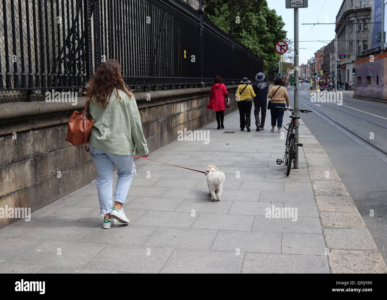 Une vue d'une femme marchant son chien dehors à Dublin Banque D'Images