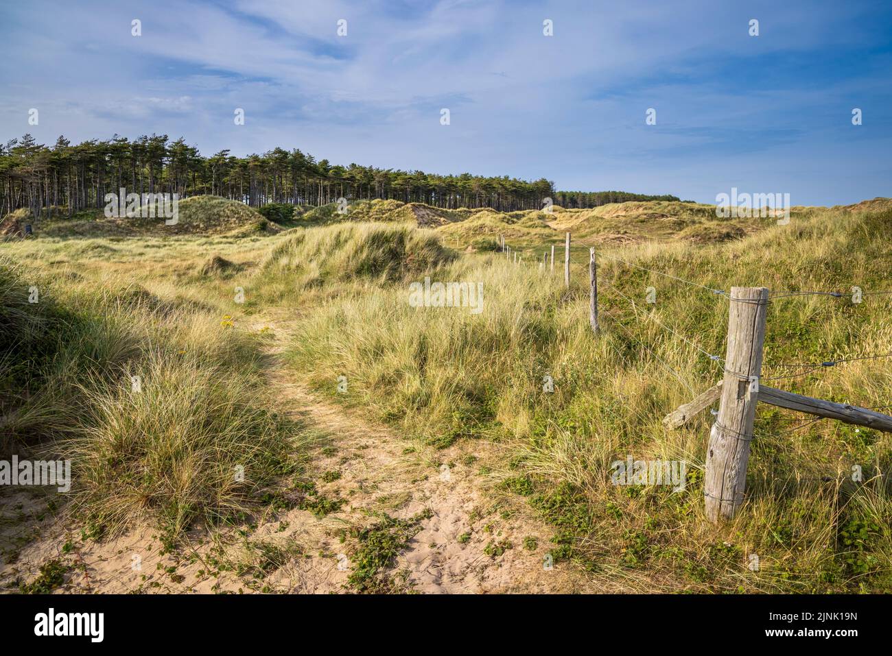 Les dunes de sable de Newborough Warren avec la forêt de Newborough en arrière-plan, île d'Anglesey, au nord du pays de Galles Banque D'Images