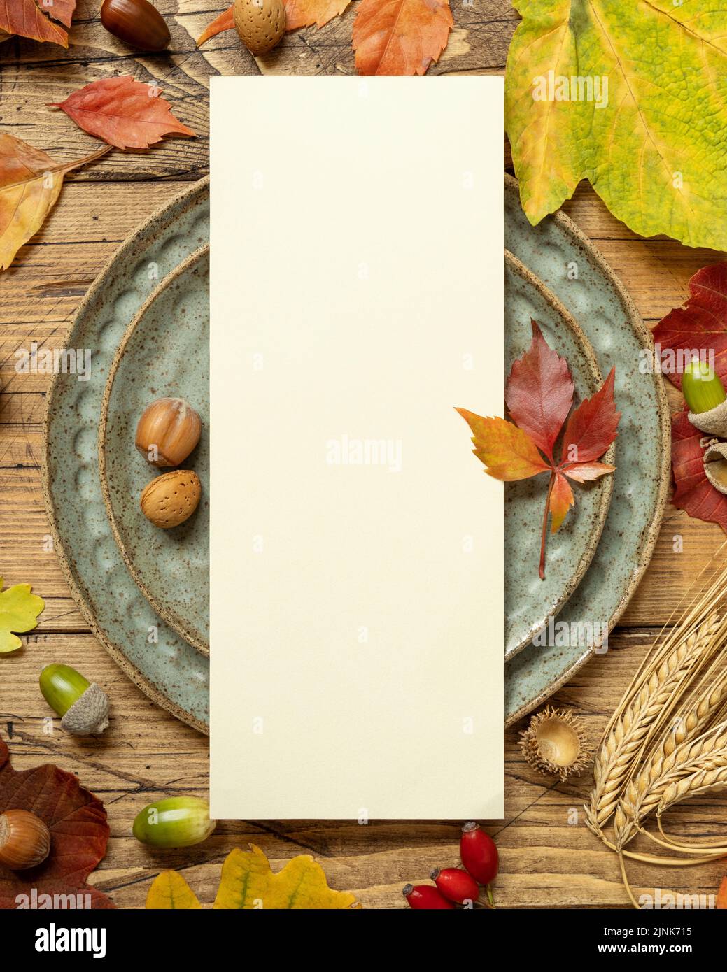 24 Cartes De Menu Vierges A5 - Motif Eucalyptus Aquarelle - Papier 300g Pour Mariages Et Événements