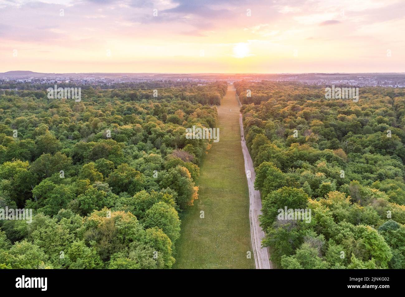 France, Oise, Picardie, Compiegne, Forêt de Compiegne, Allée des Beaux Monts (vue aérienne) // France, Oise (60), Picardie, Compiègne, forêt domaniale de COM Banque D'Images