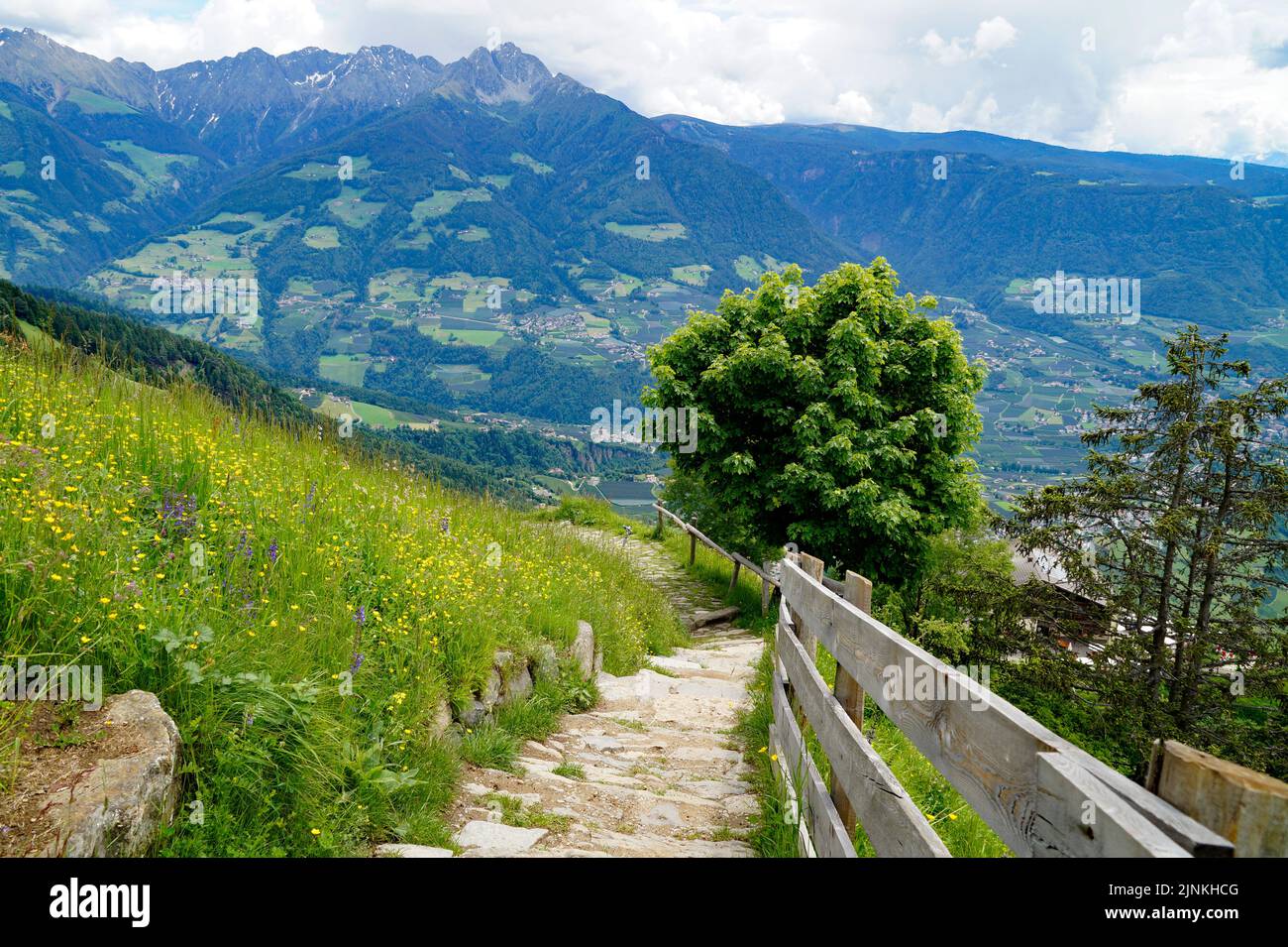 Un sentier de randonnée surplombant la vallée alpine de la ville de Merano entouré par les montagnes du groupe Texel (Oetztaler Alpen à Südtirol, Tyrol du Sud, ITA Banque D'Images