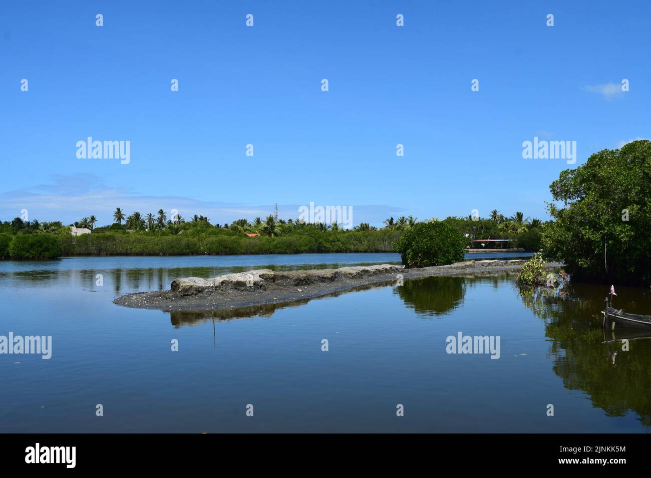 Campagne de paddy terres lac avec la nature de mangrove Banque D'Images