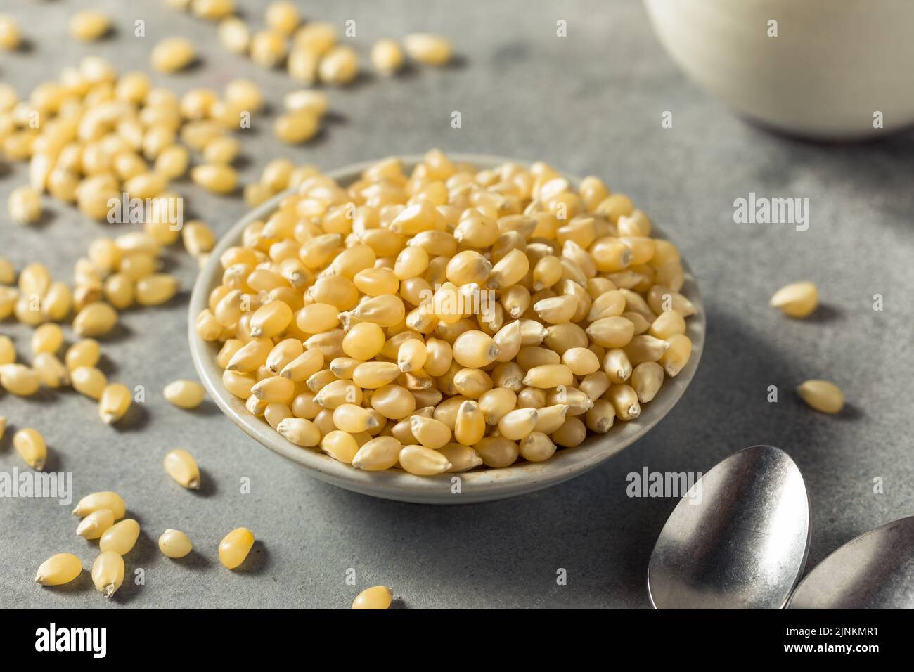 Faire sécher les grains de maïs blanc blanc biologique dans un bol Banque D'Images