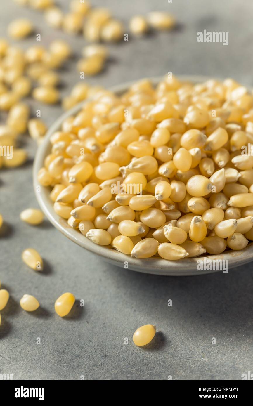 Faire sécher les grains de maïs blanc blanc biologique dans un bol Banque D'Images
