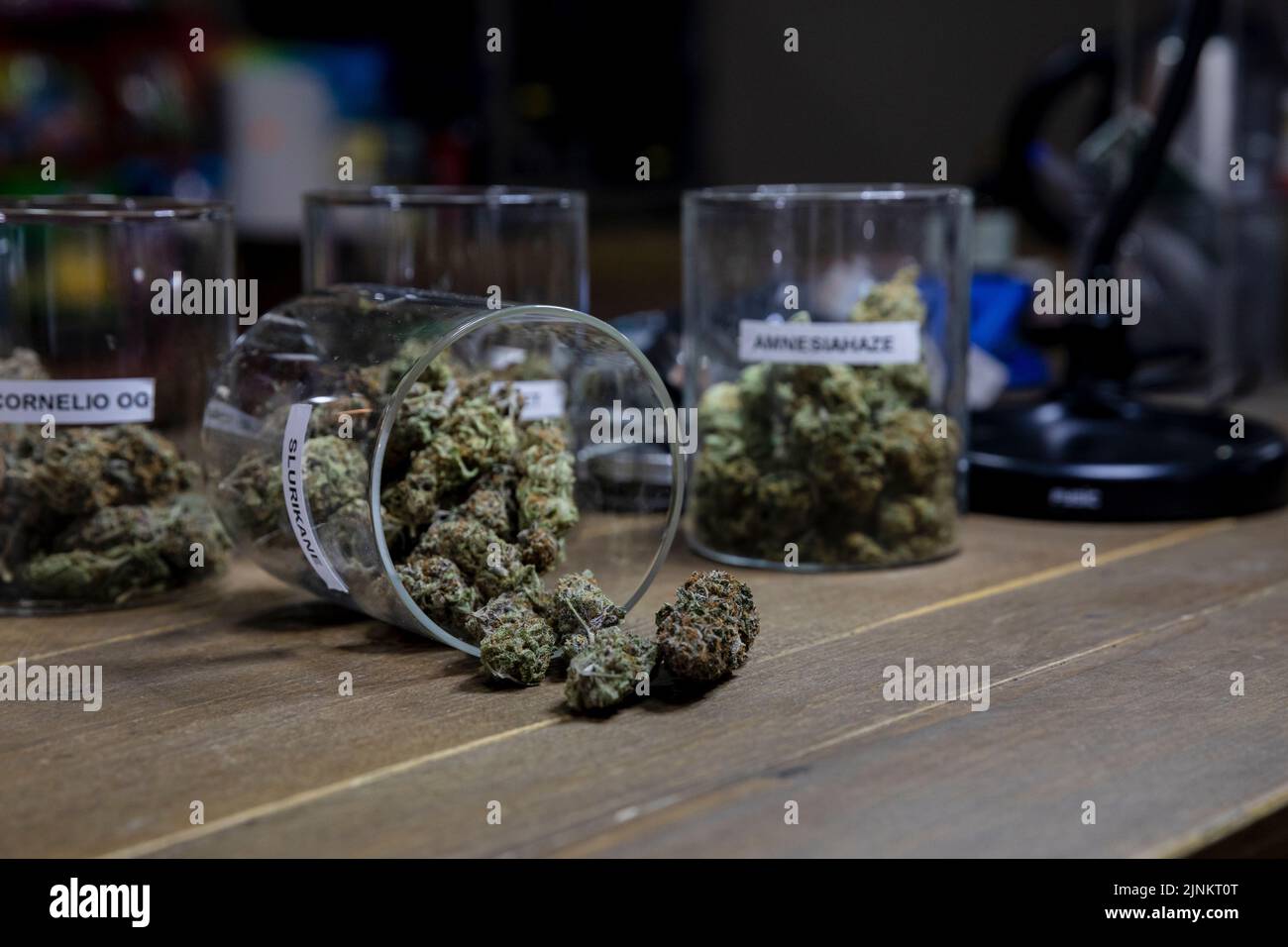 cannabis, variété, bourgeon de cannabis, marijuana, variétés, les bourgeons de cannabis Banque D'Images