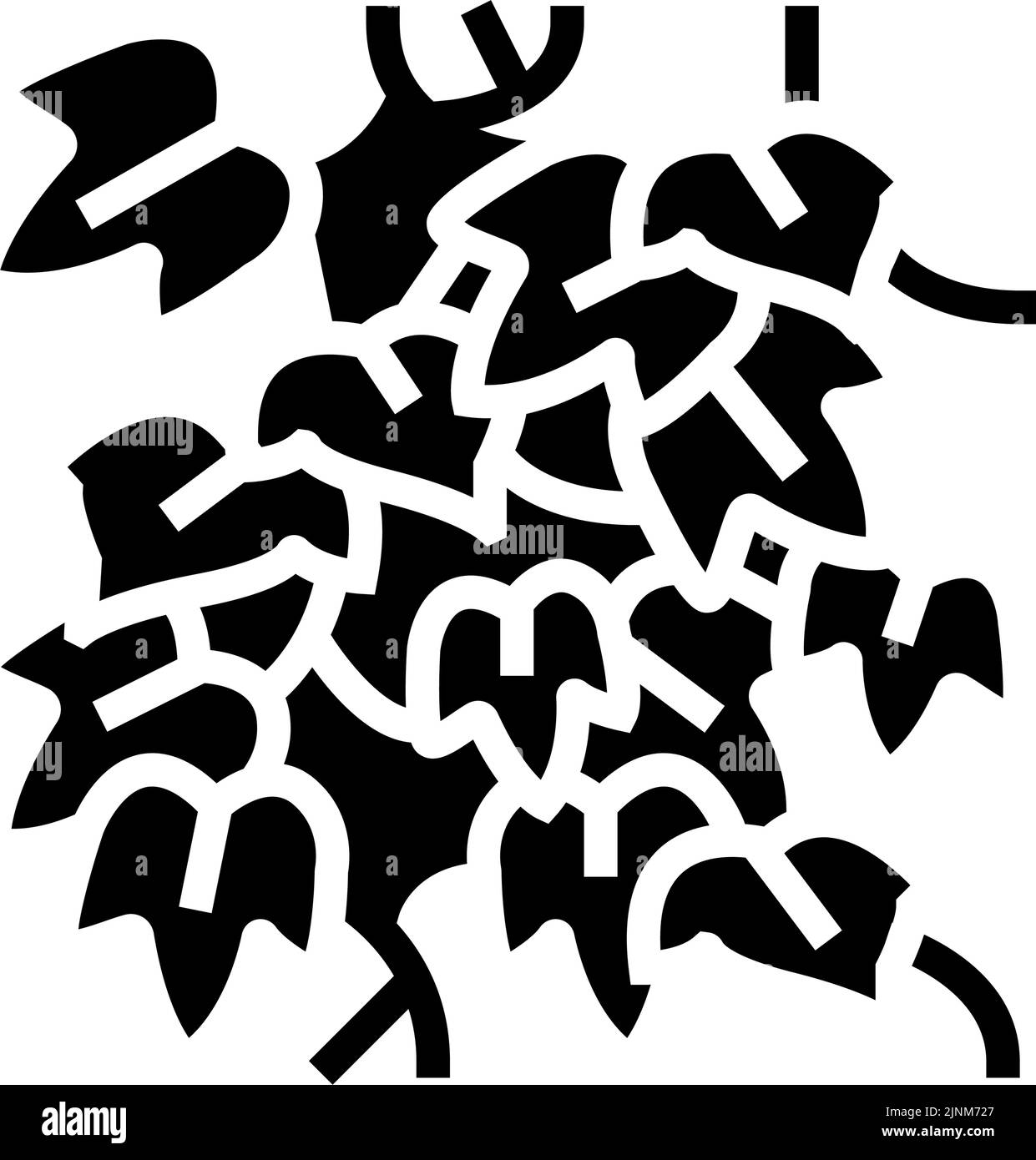 illustration vectorielle d'icône de glyphe d'ivy en anglais Illustration de Vecteur