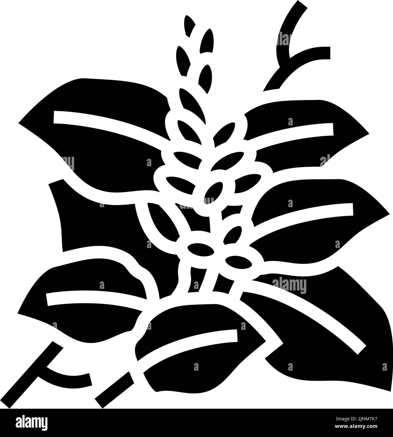 illustration vectorielle d'icône de glyphe de plante kudzu Illustration de Vecteur