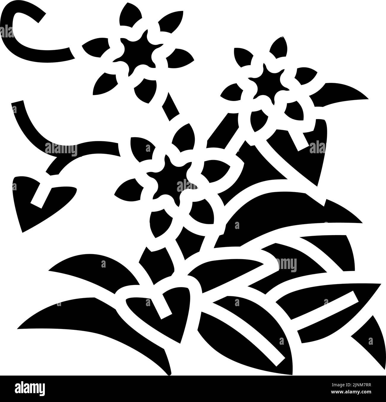 illustration vectorielle d'icône de glyphe croissante clematis Illustration de Vecteur