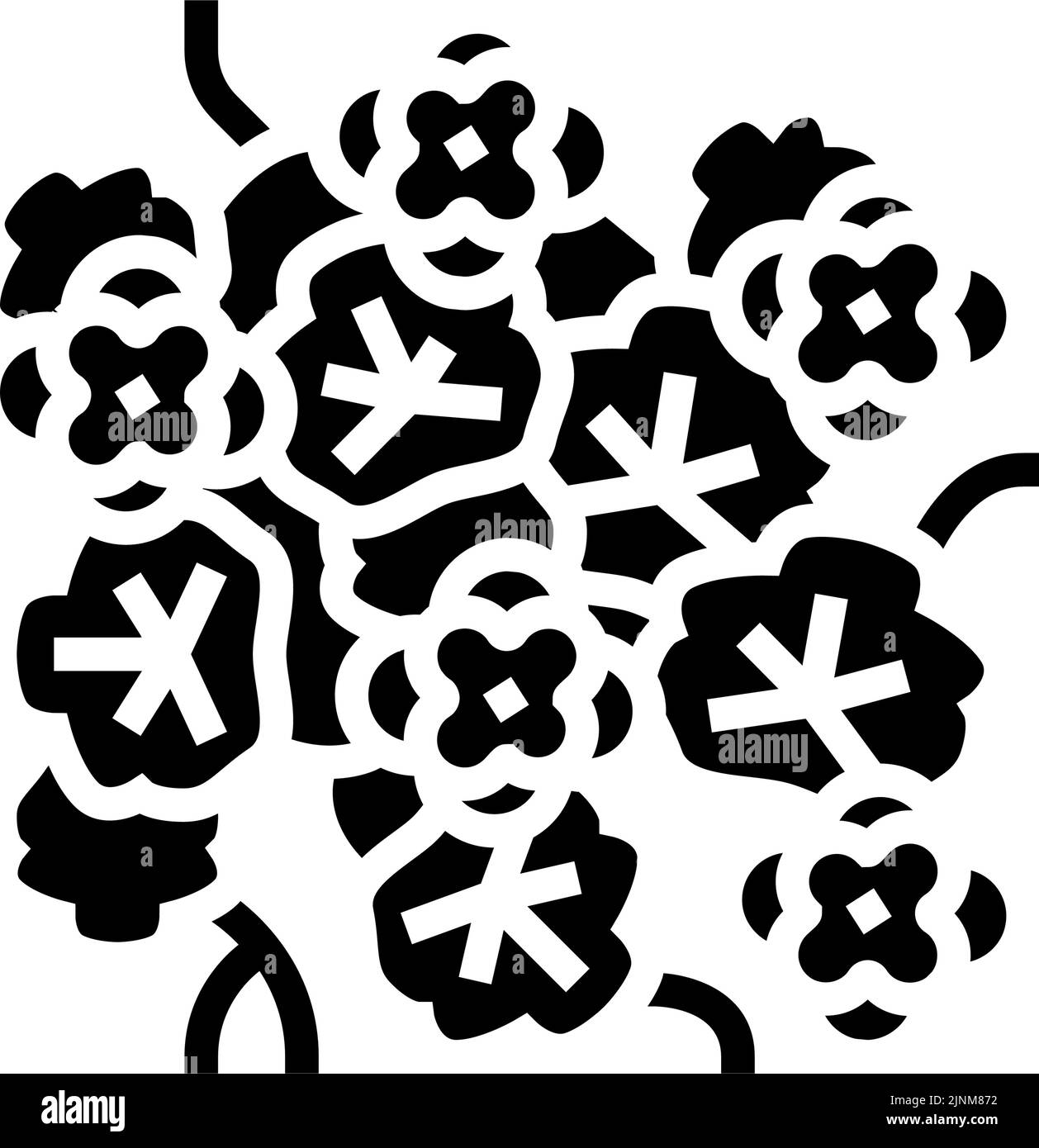 illustration du vecteur de l'icône du naturtium liana glyphe Illustration de Vecteur